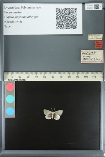 Media type: image;   Entomology 26562